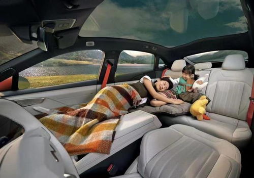 樂(lè)道l60迎來(lái)下線,看完內(nèi)飾網(wǎng)友們直呼 還買啥model y